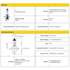 AMPÜL H4 12V 60/55W HALOGEN P43T