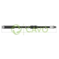 CAVO