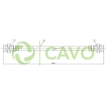 CAVO