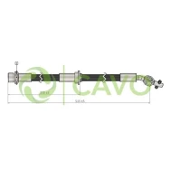 CAVO