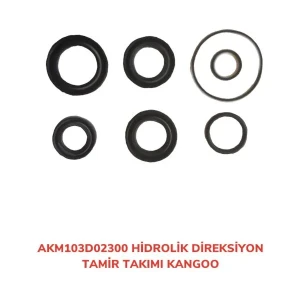 DİREKSİYON TAMİR TAKIM KANGOO HİDROLİK KANGOO