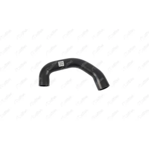 RADYATÖR GİRİŞ HORTUMU MERCEDES-BENZ C-SERISI (W202)MERCEDES-BENZ C-SERISI T-MODEL (S202)MERCEDES-BENZ CLK (C208)MERCEDES-BENZ CLK CABRİO (A208)MERCEDES-BENZ E-SERISI (W210)MERCEDES-BENZ E-SERISI T-MODEL (S210)SSANGYONG CHAIRMAN (HT_)