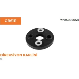 DİREKSİYON KAPLINI R12