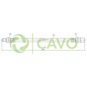 CAVO