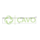 CAVO