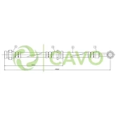 CAVO