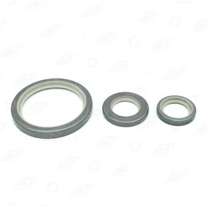 MOTOR KEÇESİ FIAT 1.6 KUŞ SERİSİ