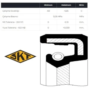 EKSANTRİK MİLİ-ARKA KEÇESİ RENAULT 11-19-21-FLASH ÖLÇÜ:22X45X8X