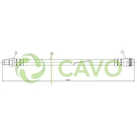 CAVO