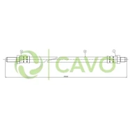 CAVO