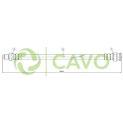 CAVO