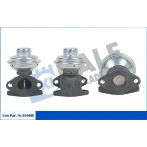EGR VALF LAGUNA