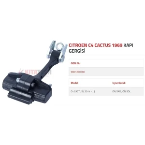 KAPI GERGİSİ C4 CACTUS ÖN