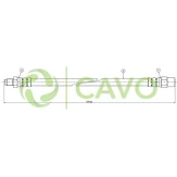 CAVO