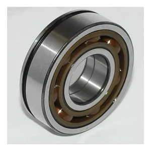 ŞANZIMAN RULMANI PALIO SKF BB1B 630905 A