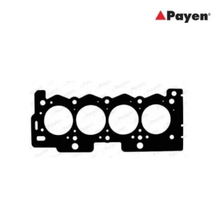 PAYEN