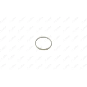 GAZ KELEBEĞİ CONTASI DACIA LOGAN (LS_)DACIA LOGAN IIDACIA LOGAN MCV IIDACIA SANDERODACIA SANDERO IINISSAN KUBISTAR PANELVAN/VAN (X76)RENAULT CLIO II (BB_, CB_)RENAULT CLIO III (BR0/1, CR0/1)RENAULT CLIO III GRANDTOUR (KR0/1_)RENAULT CLIO III KASA/EĞİK ARK