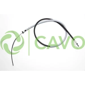 CAVO