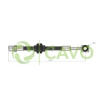CAVO