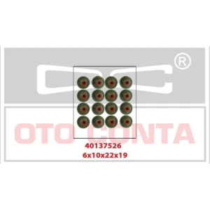 SİBOP LASTİĞİ 6×10×22×19MM 16 ADET TAKIM DUCATO 2.3 16V MJTD