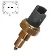 GERİ VİTES MÜŞÜRÜ 405-106-206-307 SW