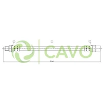 CAVO