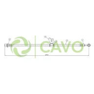 CAVO
