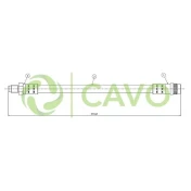 CAVO