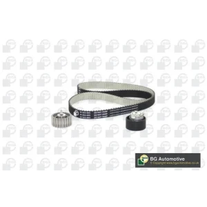 EKSANTİRİK ZİNCİR SETİ FIAT DUCATO II MİNİBÜS 02> VAN 02> PLATFORM 02>06 DUCATO III MİNİBUS 06> DUCATO III PLATFORM 06> IVECO DAILY III BOX 02>07 DAILY IV 06>11 DAILY V 11>14 DAILY VI 14> KTB0339 02390 K015592XS