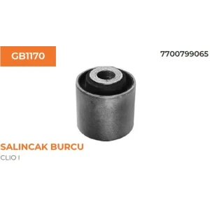 SALINCAK BURCU CLIO