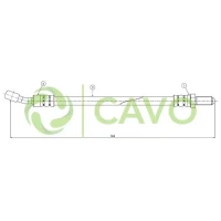 CAVO