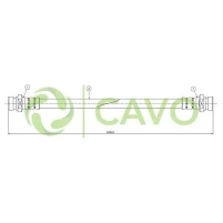 CAVO