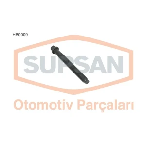 SAPLAMA SETİ RENAULT EXPRESS CLİO MEGANE 1.9 D (F8Q) LAGUNA 1.8 MEGANE 2.0 R. 11 FLASH R21 MANAGER 7700855384×10 ADET