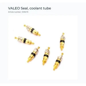VALF X 6