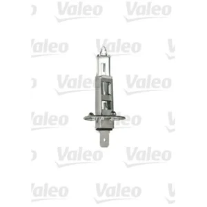 H1 AMPUL KARTON KUTU - STANDART SERİ
