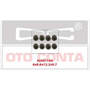 SUBAP KEÇESİ 6MM 8 ADET TAKIM VITON CLIO KANGOO MEGANE II LOGAN 1.5D K9K