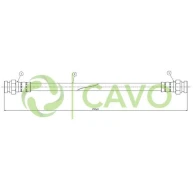 CAVO
