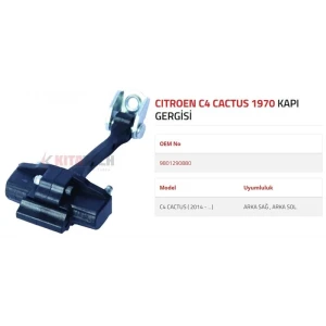 KAPI GERGİSİ C4 CACTUS ARKA