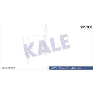 KALORİFER RADYATÖR PETEGI R21