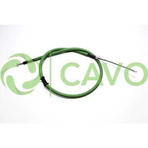 CAVO