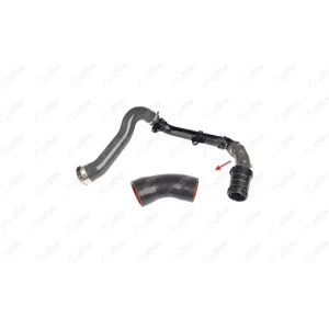 TURBO HORTUMU PLASTİK BORU HARİÇOK İLE GÖSTERİLEN KÜÇÜK HORTUM RENAULT ESPACE V (JR_)RENAULT GRAND SCÉNIC IV (R9_)RENAULT MEGANE IV GRANDTOUR (K9A/M/N_)RENAULT MEGANE IV HATCHBACK (B9A/M/N_)RENAULT MEGANE IV SEDANRENAULT SCÉNIC IV (J9_)RENAULT TALISMAN (L