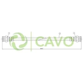 CAVO