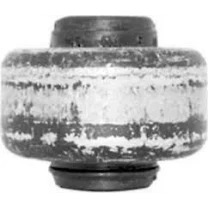 SALINCAK BURCU 208-2008-C3 II-III-C4 CACTUS-DS3