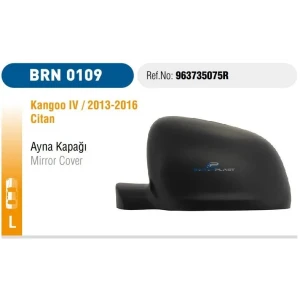 AYNA KAPAĞI SOL KANGO IV CITAN 2013 2016