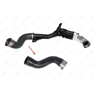 TURBO HORTUMU PLASTİK BORU HARİÇOK İLE GÖSTERİLEN BÜYÜK HORTUM DACIA DOKKER EXPRESS KASA/BÜYÜK LİMUZİNDACIA DOKKER MPV (KE_)DACIA DUSTER (HS_)DACIA LODGY (JS_)DACIA LOGAN IIDACIA SANDERO IIRENAULT CLIO IV (BH_)RENAULT CLIO IV GRANDTOUR (KH_)RENAULT CLIO I