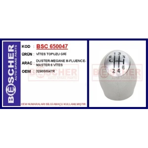 VİTES TOPUZU DUSTER-MEGANE III-FLUENCE-MASTER 6 VİTES GRİ