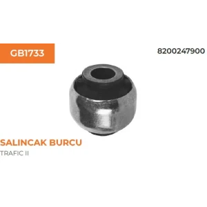 SALINCAK BURCU TRAFIC