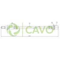 CAVO
