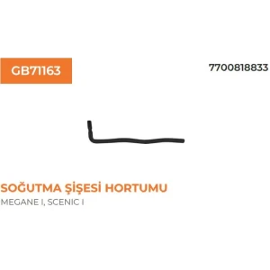 SOGUTMA SISESI HORTUMU MEGANE 1.8 8V