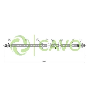 CAVO
